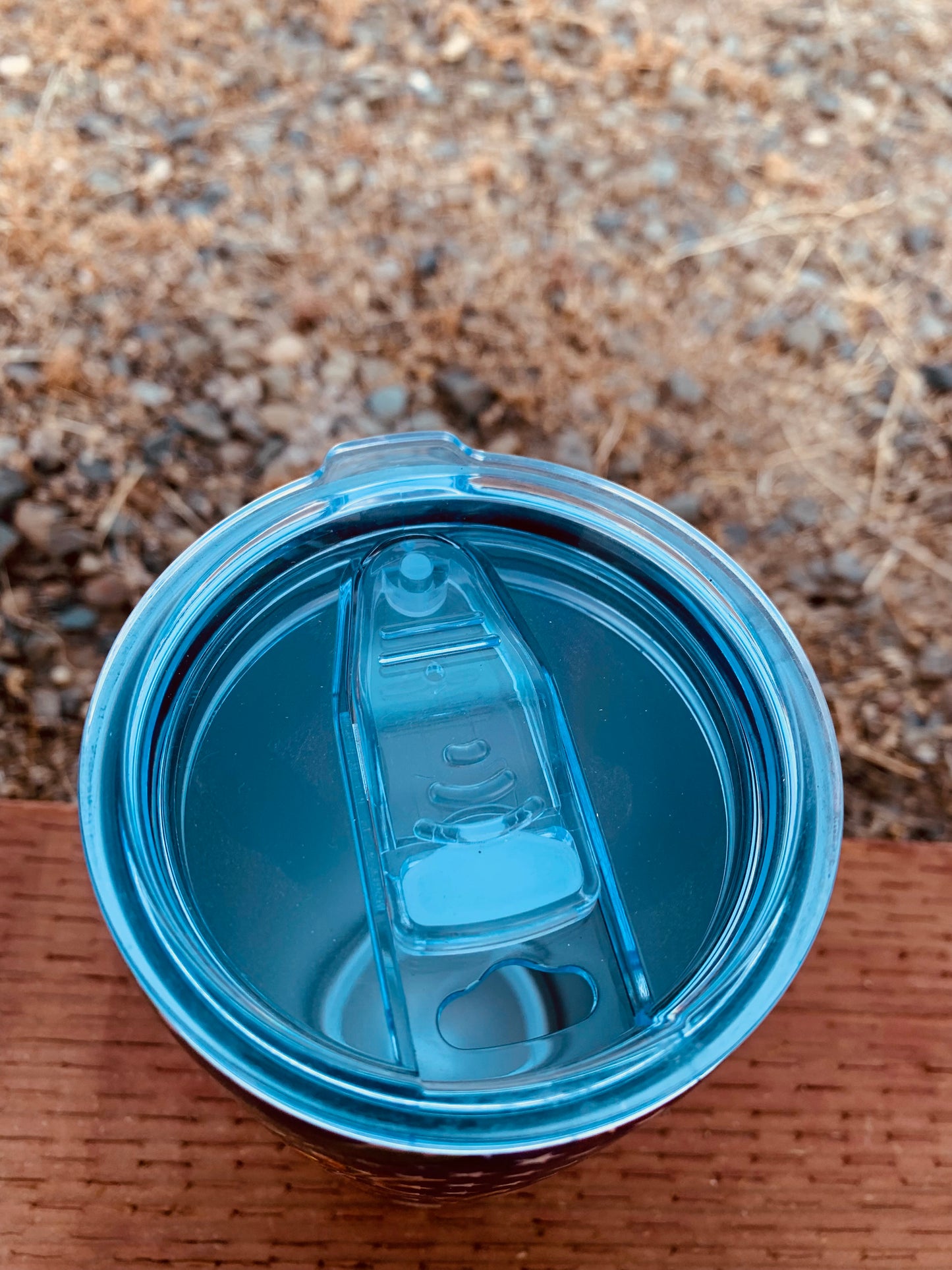 Turquoise Steer