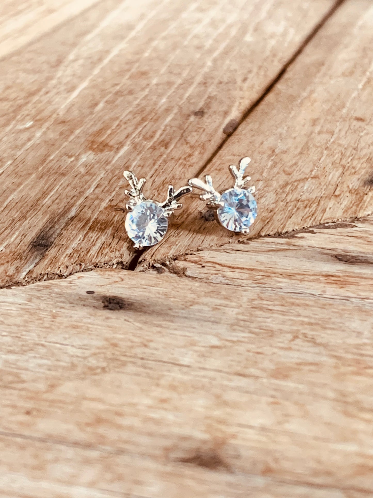 Earrings from the West Set
