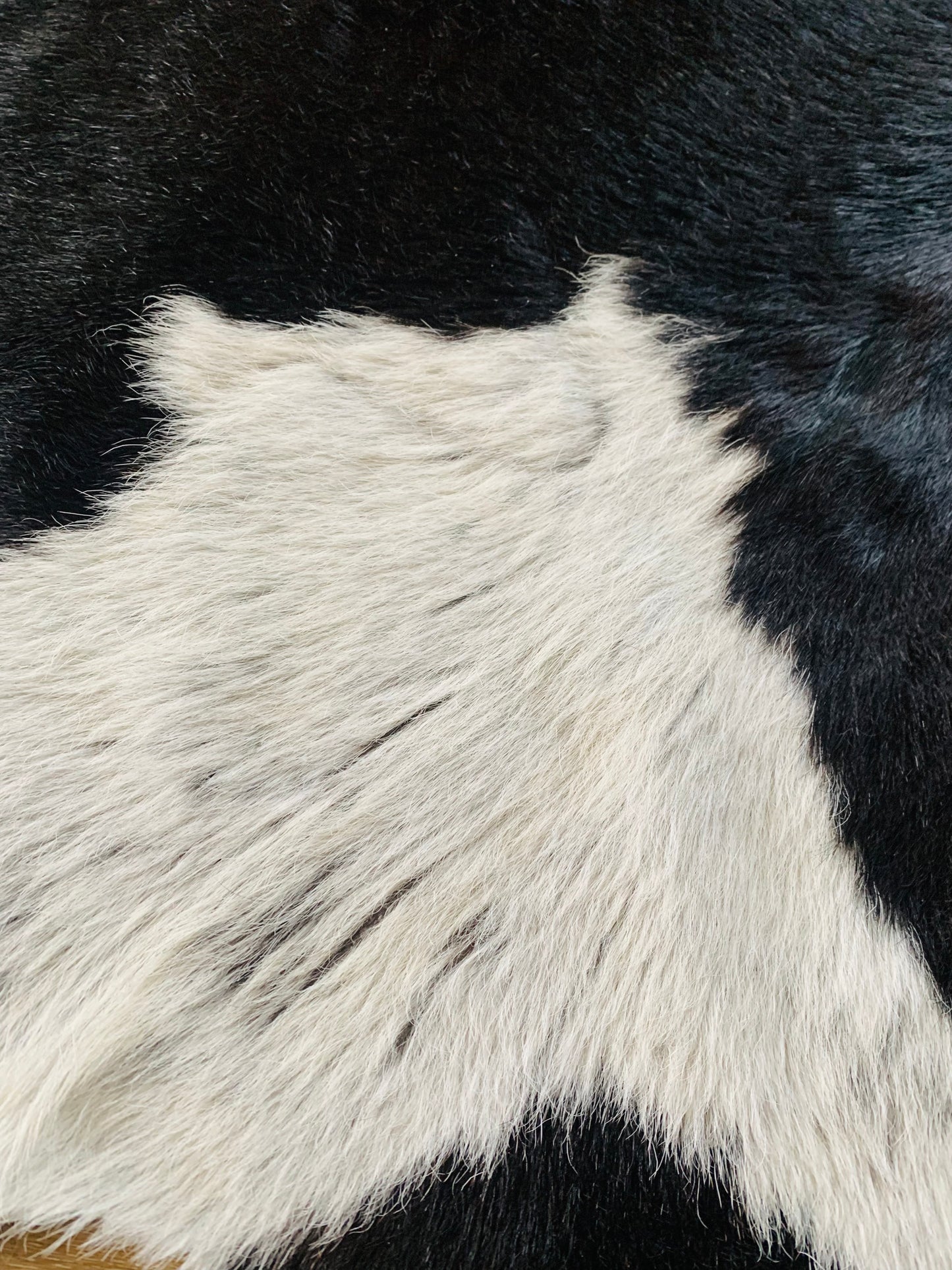 Large Black and White Cowhide