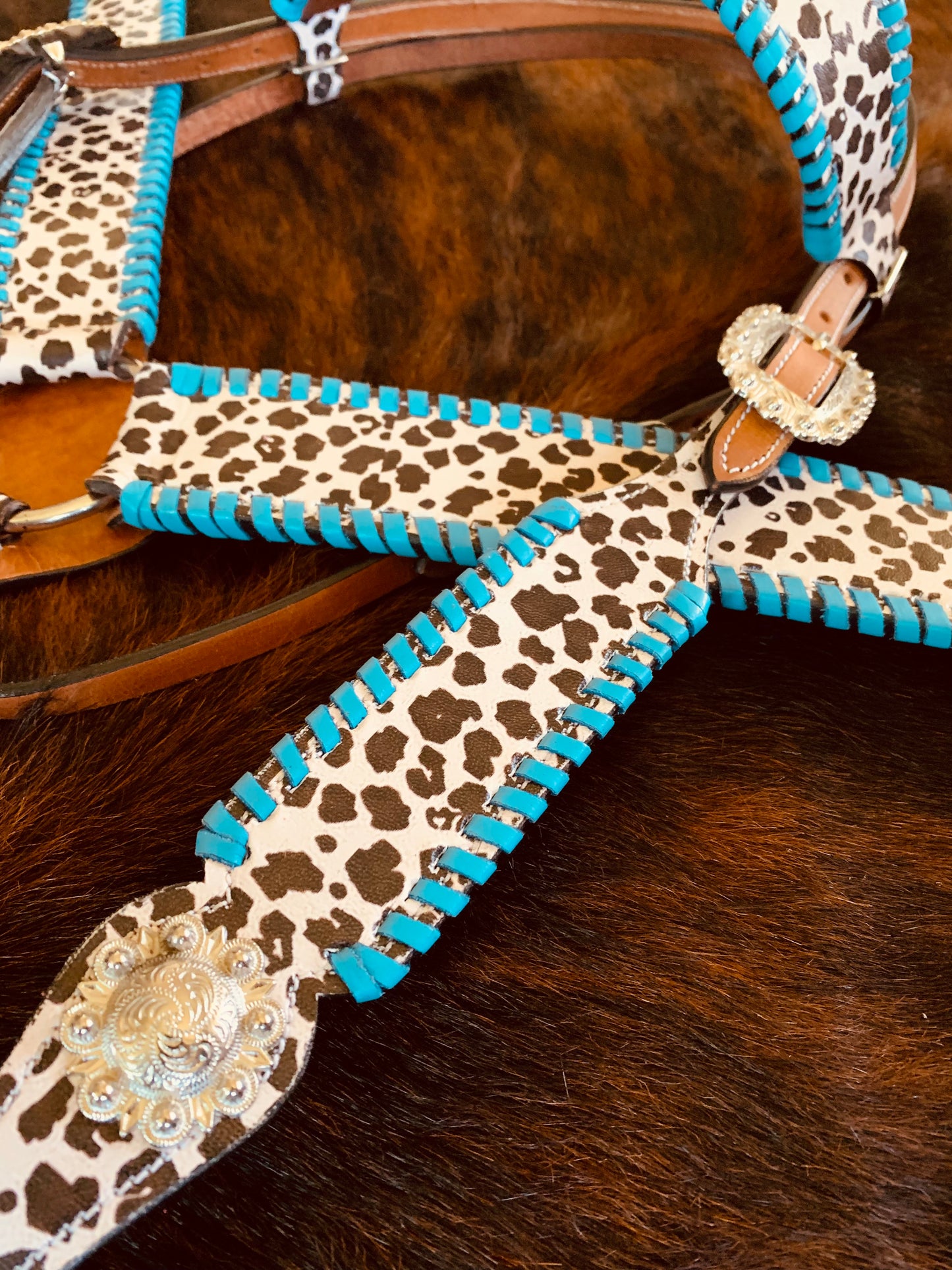 Turquoise and Cowprint