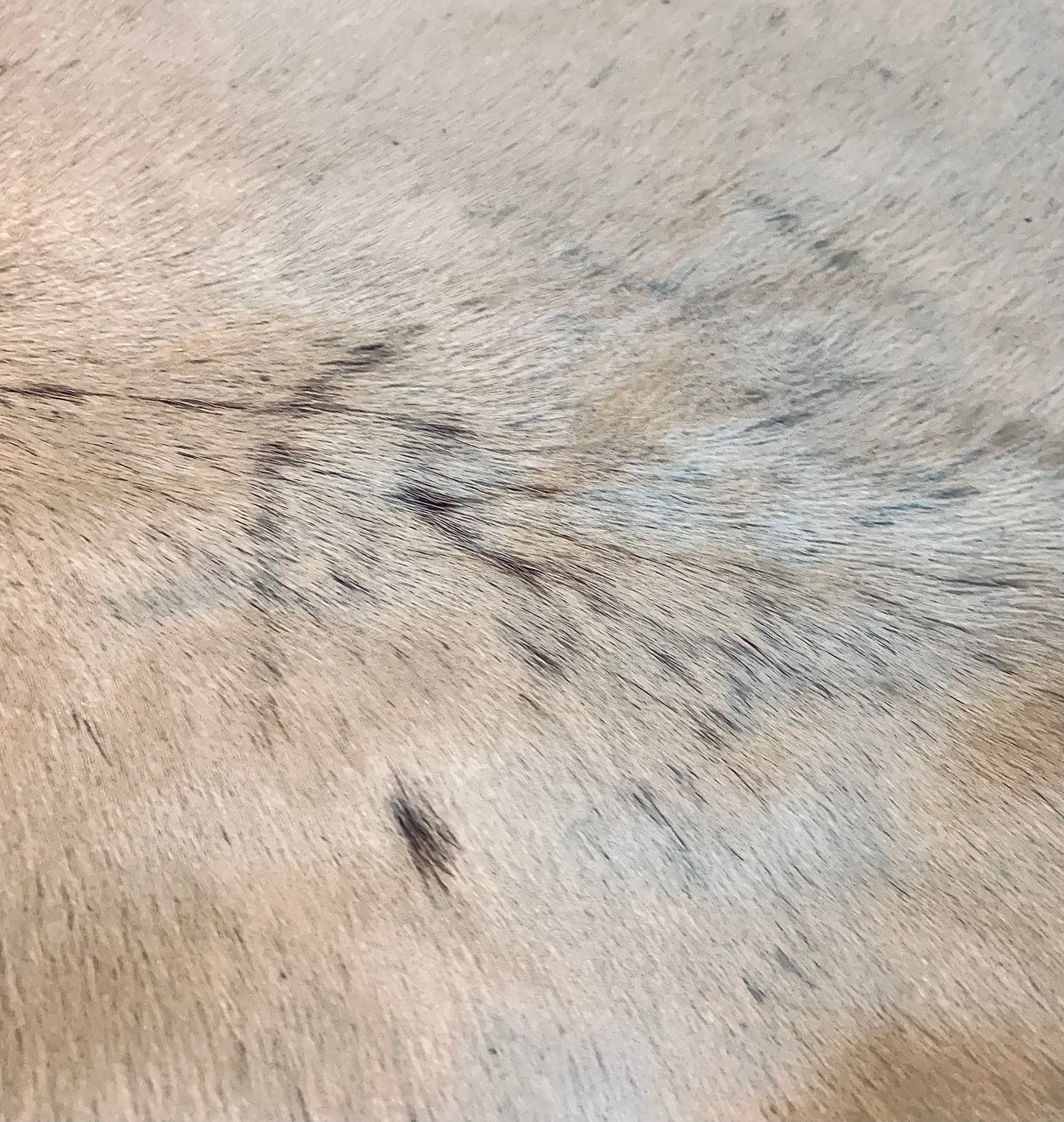 Spotted & Salt & Pepper Cowhide
