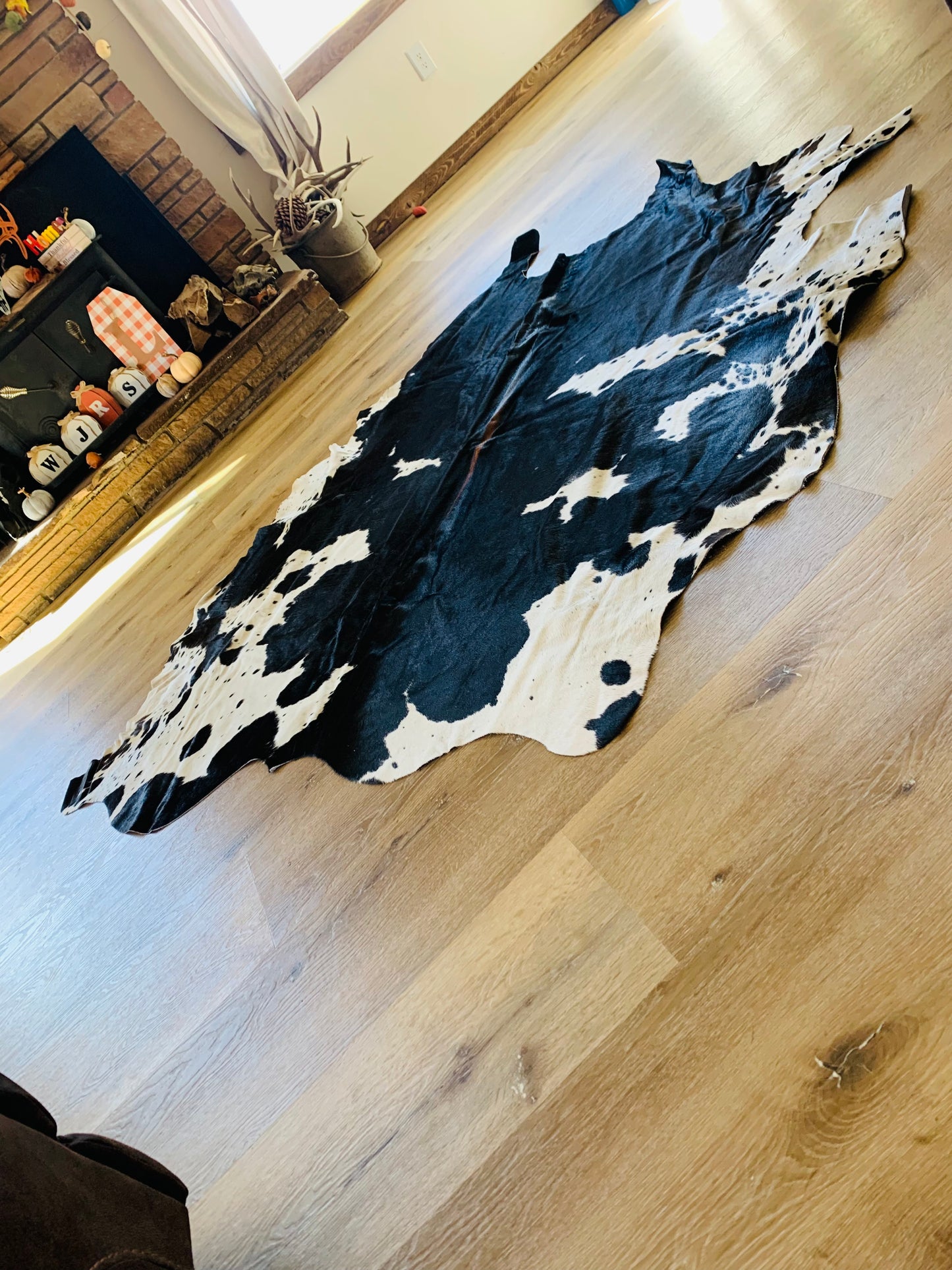 Black & white speckled cowhide