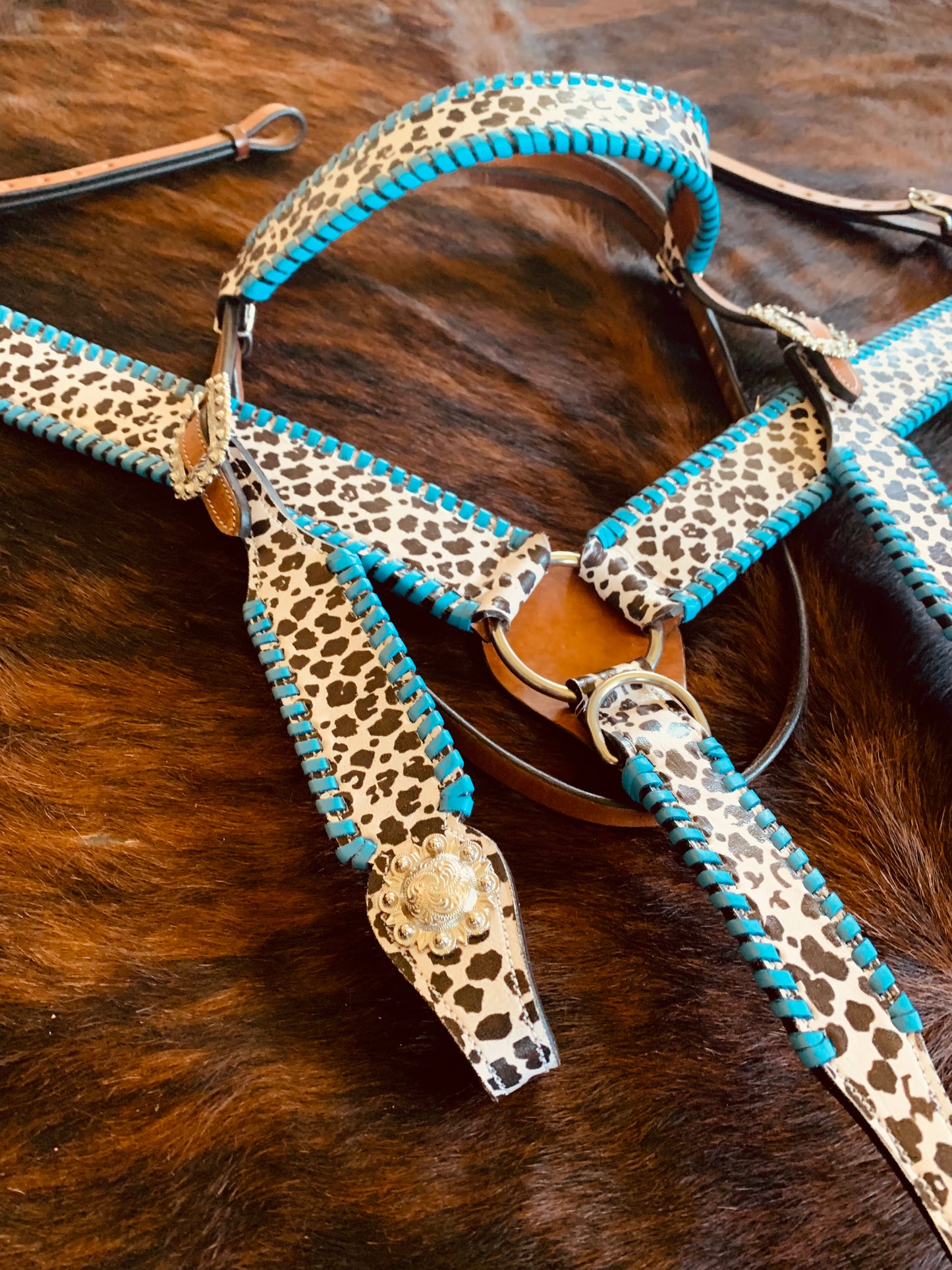 Turquoise and Cowprint