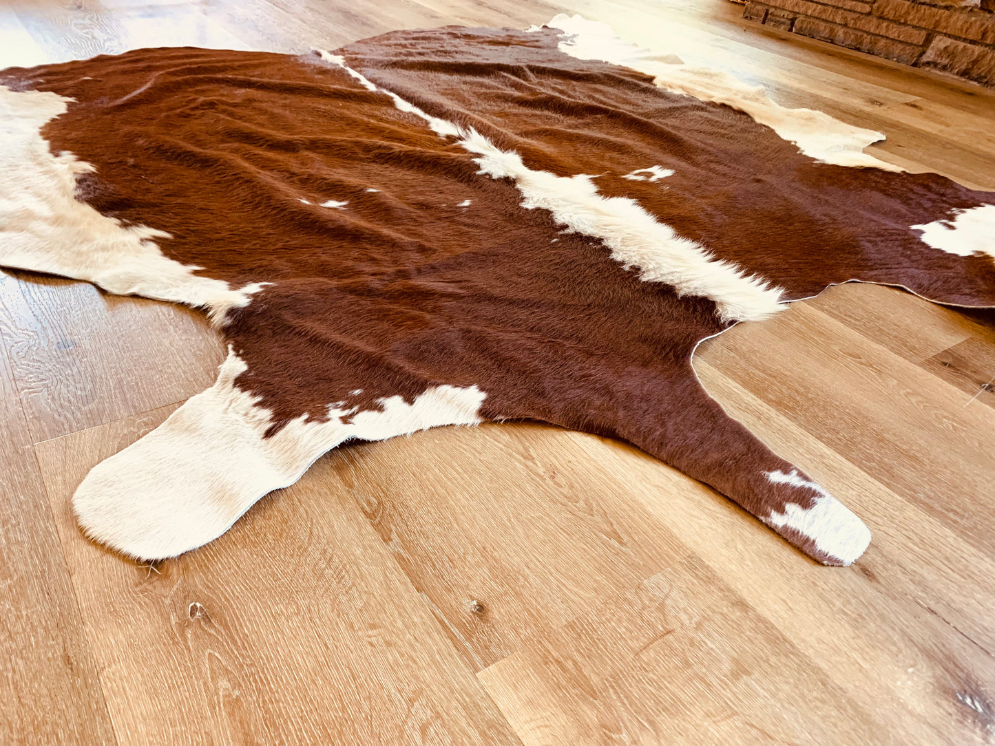 Hereford Hide