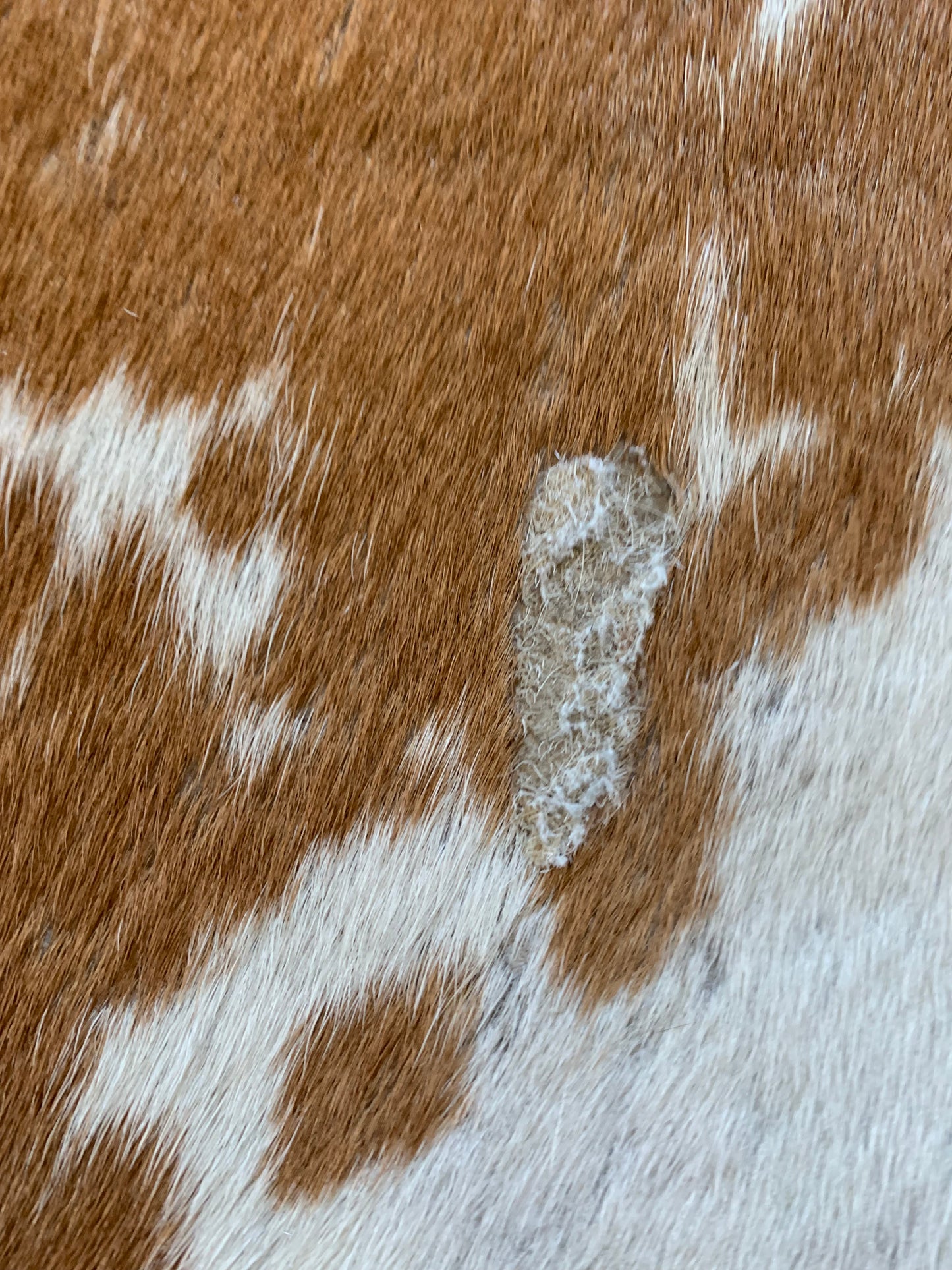 Speckled Light Brown Cowhide