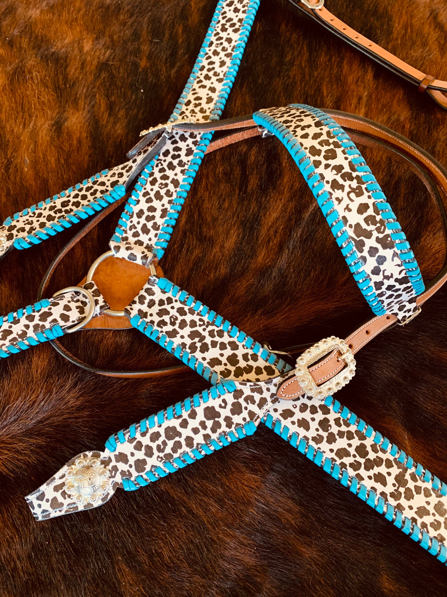 Turquoise and Cowprint