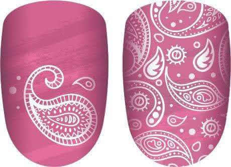 Paisley Passion